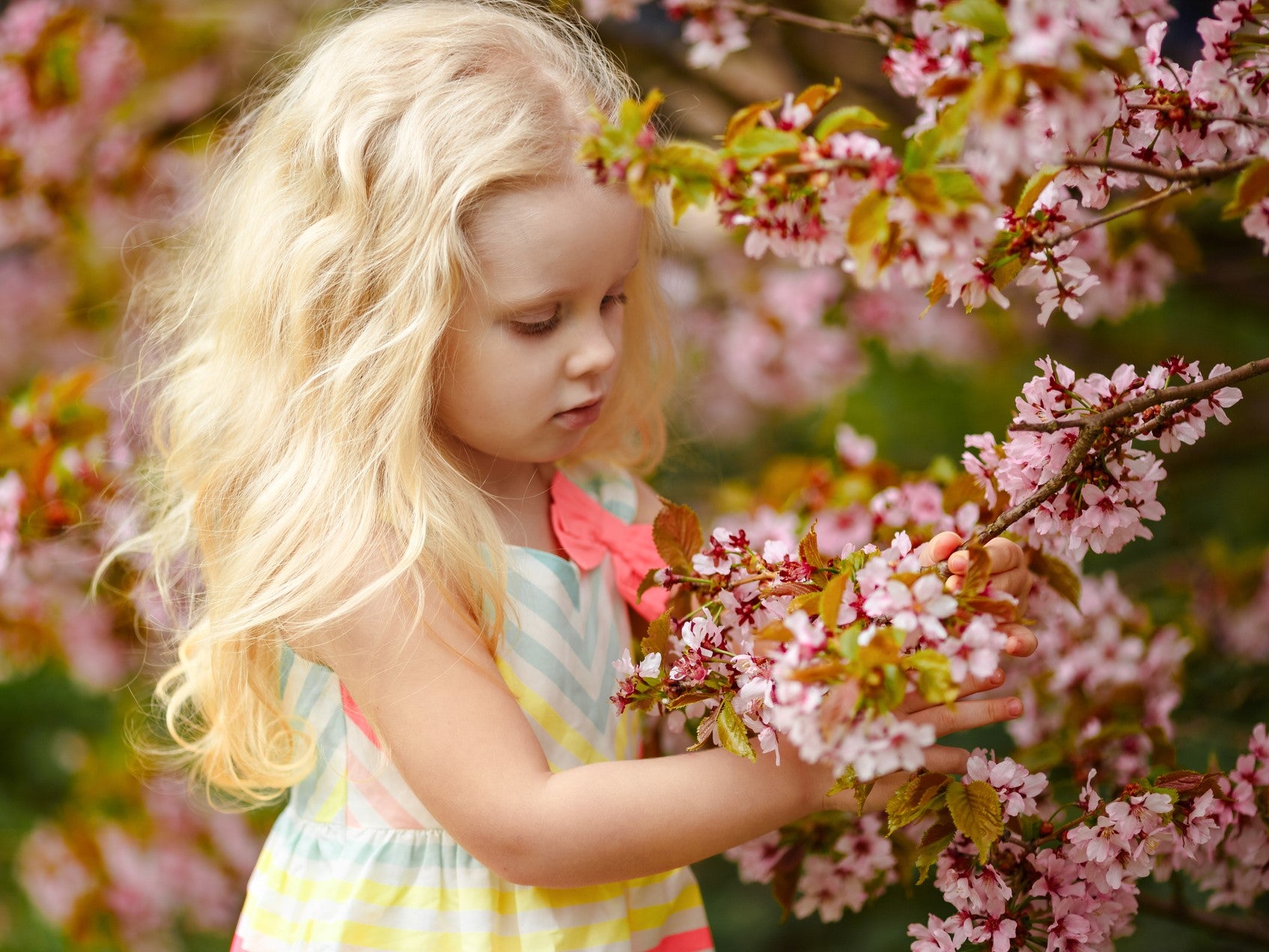 (#11) You Must Be Joking! (Part 1 of 2)