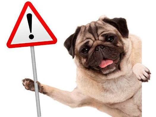 (#22)  New Resources and Surprises for You!