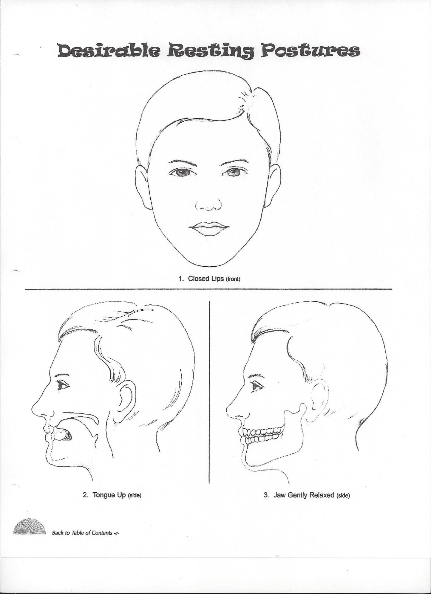 Oral-Facial guide illustration of resting postures