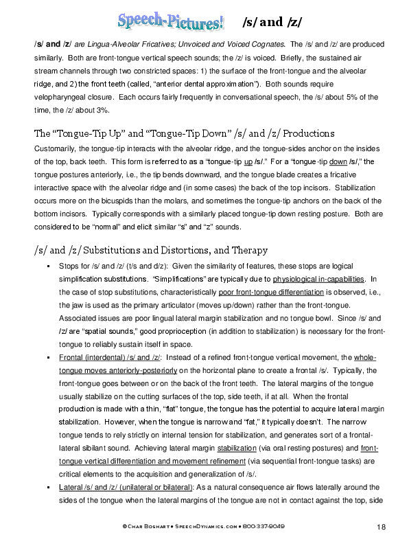 Speech Pictures Analysis and Therapy S and Z instructional sample page