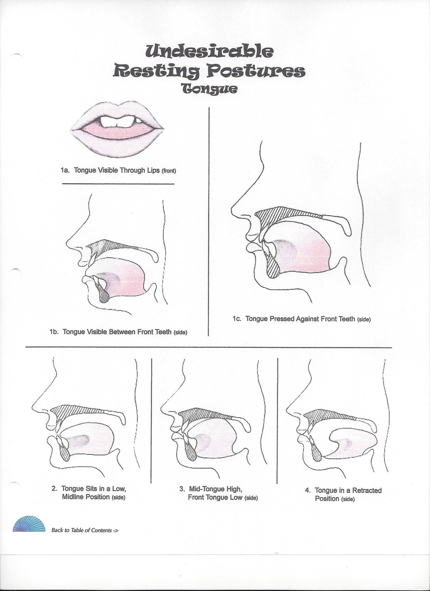 Oral-Facial Illustrations and Reference Guide (eBook) table of contents page