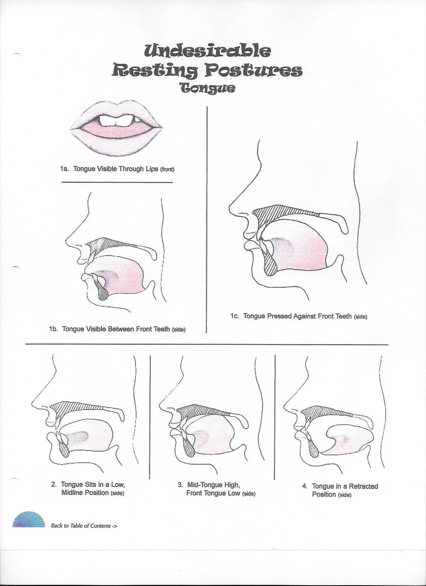 Oral-Facial Illustrations and Reference Guide (ebook)